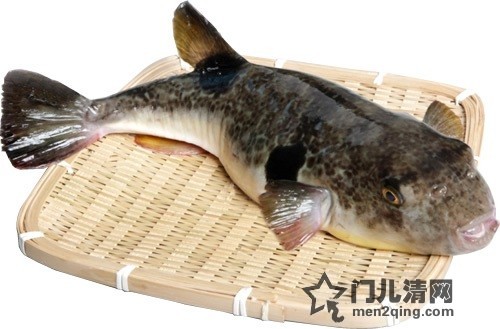 haixian-fugu.jpg