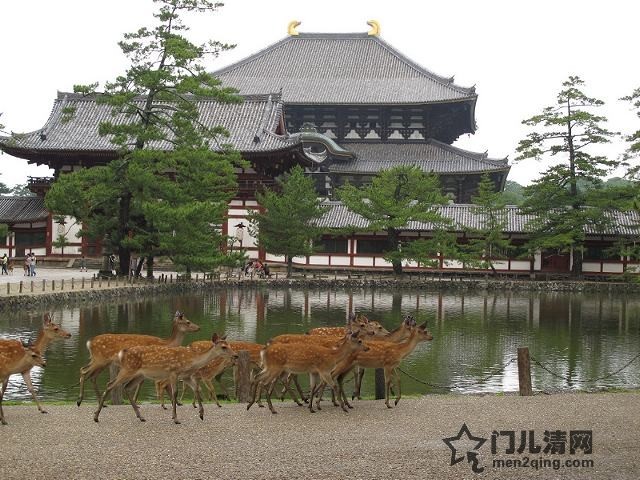 nara.jpg