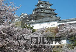 hyogo.jpg