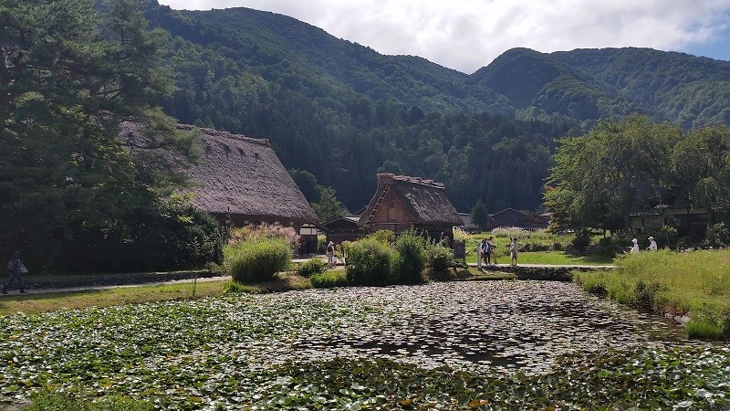 20150920_102324.jpg