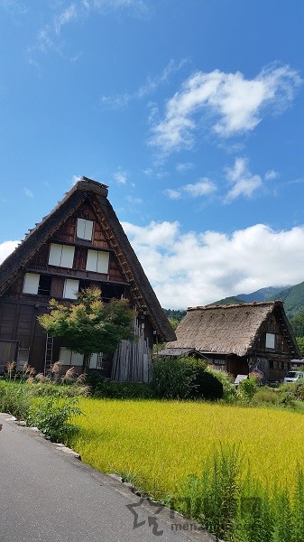 20150920_102722.jpg