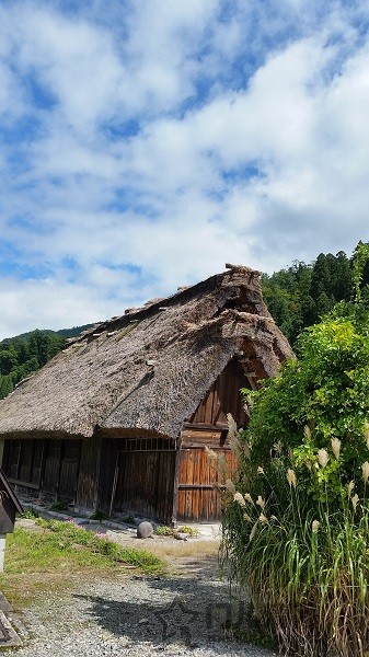 20150920_104438.jpg