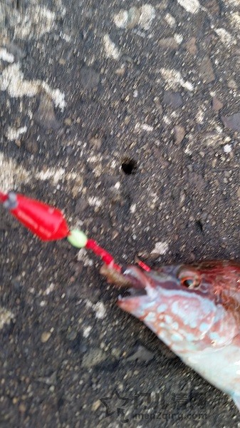 20150921_171445.jpg
