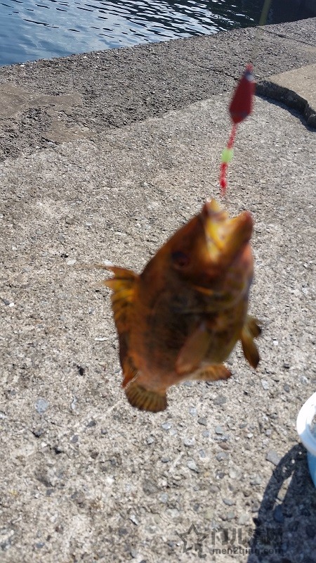 20150922_095011.jpg