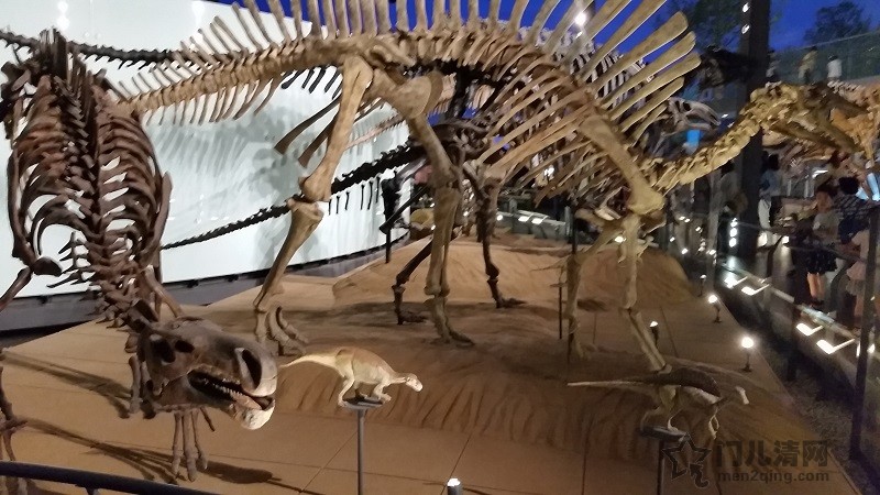 20150922_140822.jpg