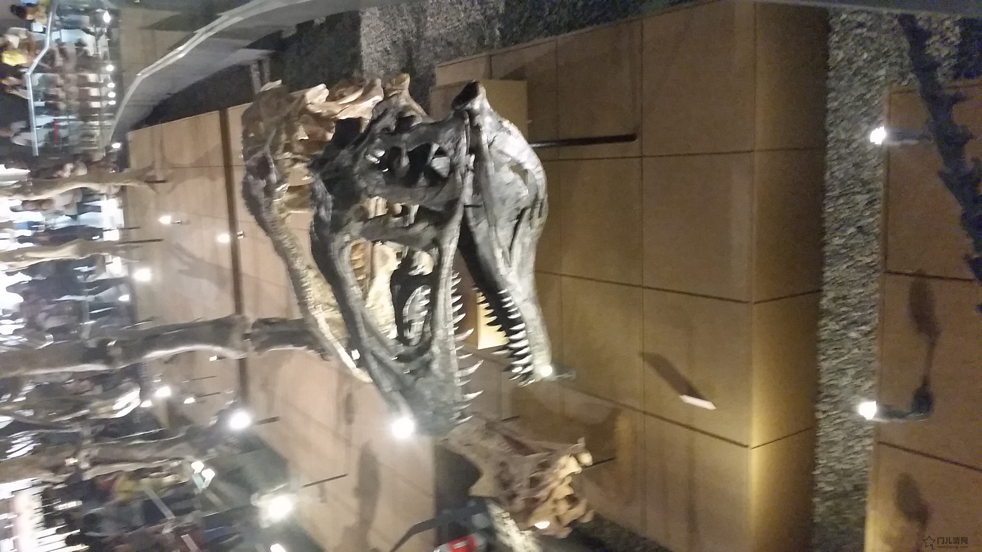 20150922_141759.jpg