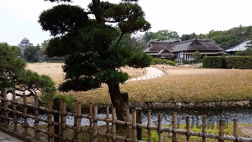 20151226_141554.jpg
