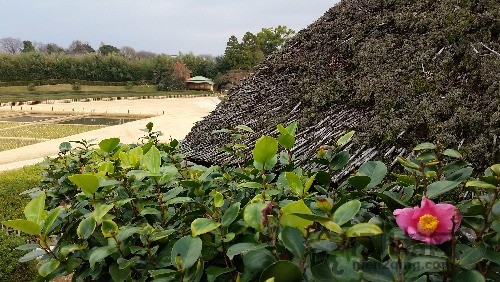 20151226_142623.jpg