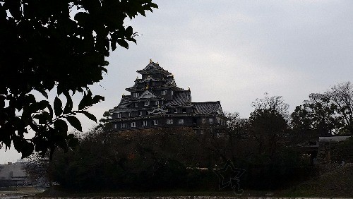 20151226_150201.jpg