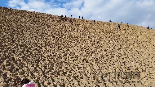 20151230_142315.jpg