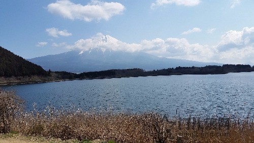 20160325_102509.jpg