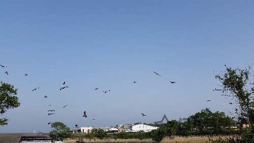 20160502_162129.jpg