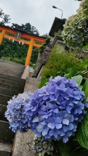 20160717_135321.jpg