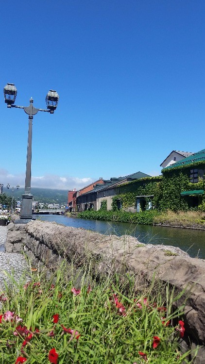 20160831_105943.jpg