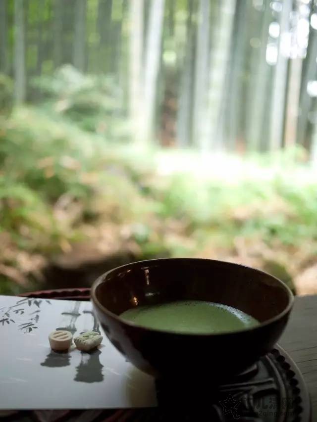 Uo55keKSWQEOYOko.jpg