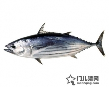 日本美食食材：日本特色 - 鲣鱼·木鱼·柴鱼（鰹 かつお）