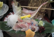 美食攻略：日本特色刺身-鲹鱼（あじ）