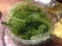美食攻略：冲绳必吃特色名物美食-海葡萄藻