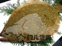 日本美食食材：多宝鱼（平目 ひらめ）