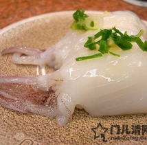 美食攻略：日本寿司-鱿鱼姿握寿司（烏賊姿握り）