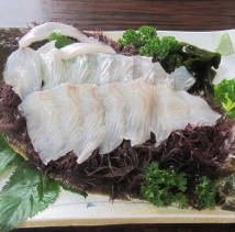 美食：刺身-鲆鱼·多宝鱼（平目）