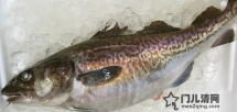 日本美食食材：银鳕鱼（鱈 たら）