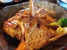 美食攻略：日本特色煮鱼料理-兜煮鱼头（かぶとに）