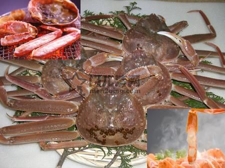 美食新闻：日本海的楚蟹捕捞开禁了