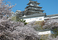 攻略:日本兵库县中文导航