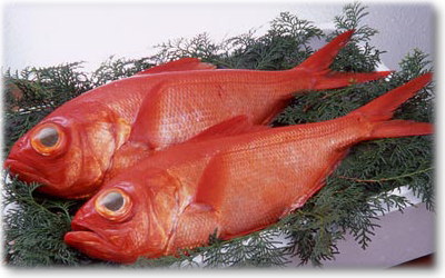 食材-金目鯛（きんめだい）-旬的食材-海鲜